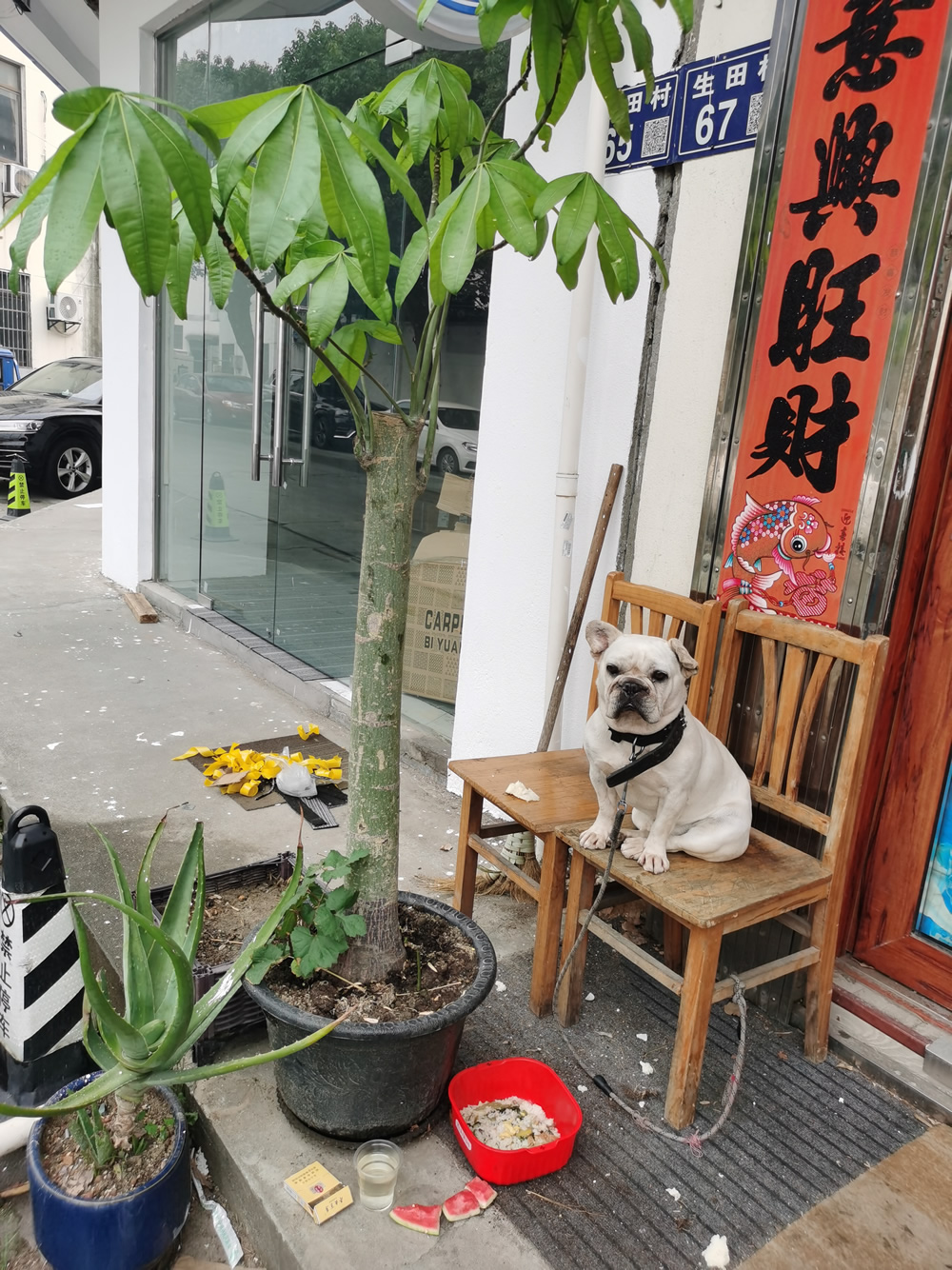这是 2025.05.15 喝酒之前拍的照片，今天应该是第七次或第八次来“大表哥”这儿了，闹腾到11点多才结束